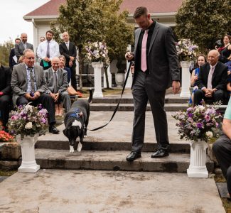 Avanti Mansion dog down the aisle